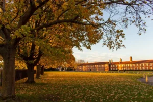 herbst im Park von Hampton Court