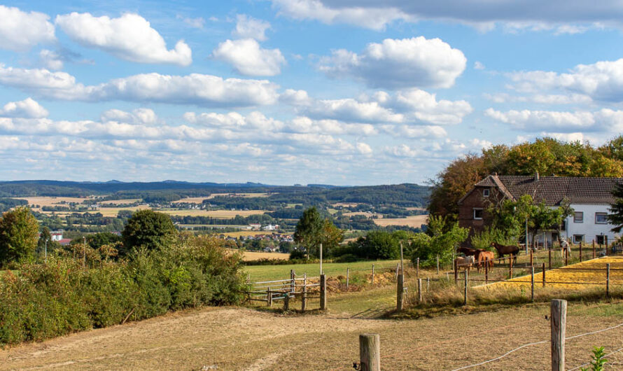 Stadt mit Aussicht  – Hohenheide, Blick ins Ruhrtal