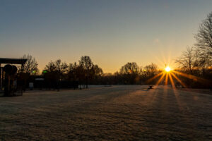 Wintermorgen im Park