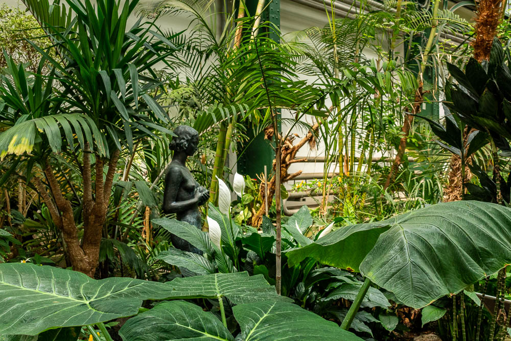 Botanischer Garten Frankfurt - Im Palmenhaus - Richards Fotoseite