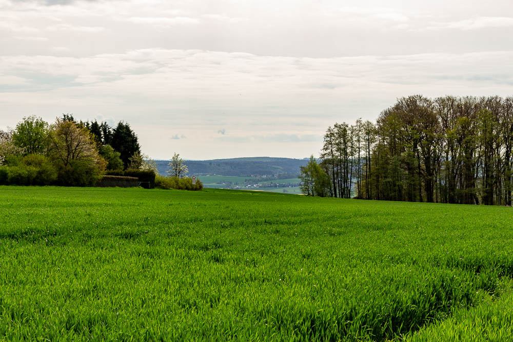 Wanderung Runde von Hohenheide