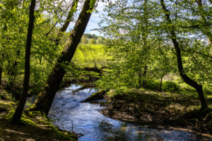 Wanderung im Elsebachtal