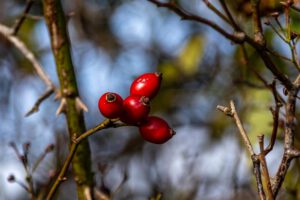 Sonniger Herbstspaziergang