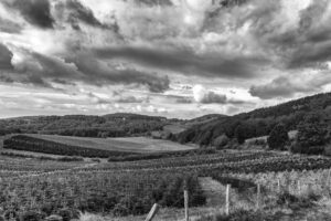 Landschaft bei Eisborn