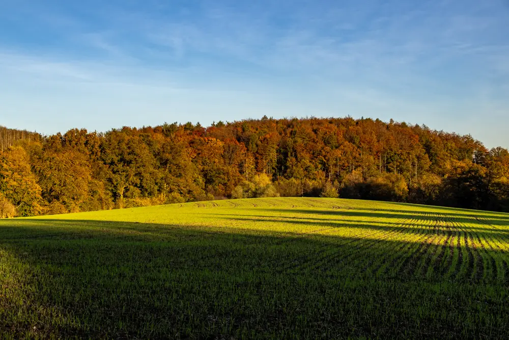 Fröndenberg Herbst