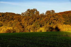 bunte Landschaft