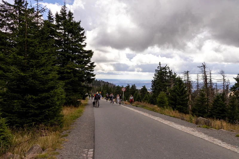 Wanderer auf der Brockenstraße im Harz an einem bewölkten Augusttag, umgeben von Fichtenwald und Spuren des Waldwandels.