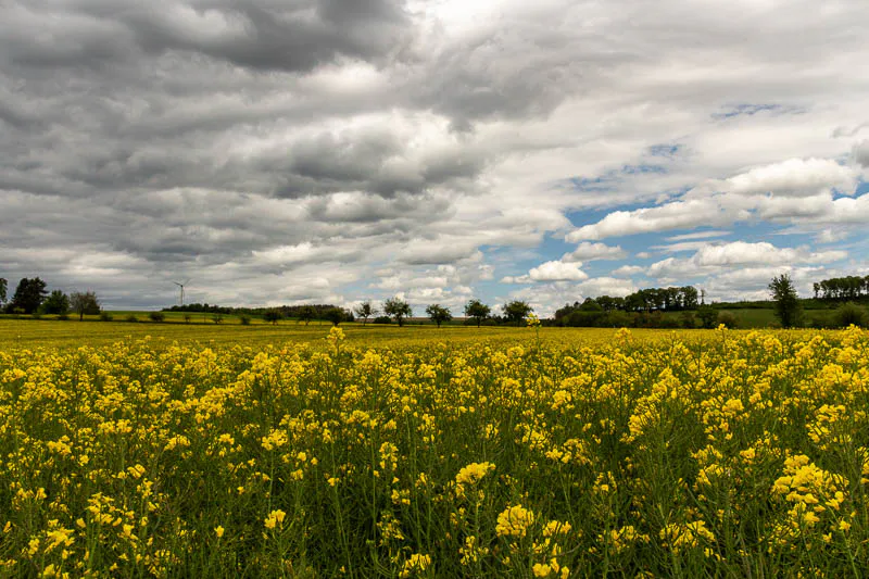 Titelbild Zeit für Neues
