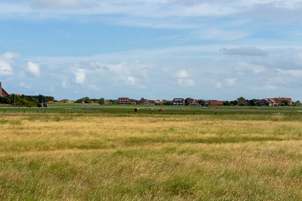 Weite Wiesenlandschaft mit Blick auf das Inseldorf von Baltrum.