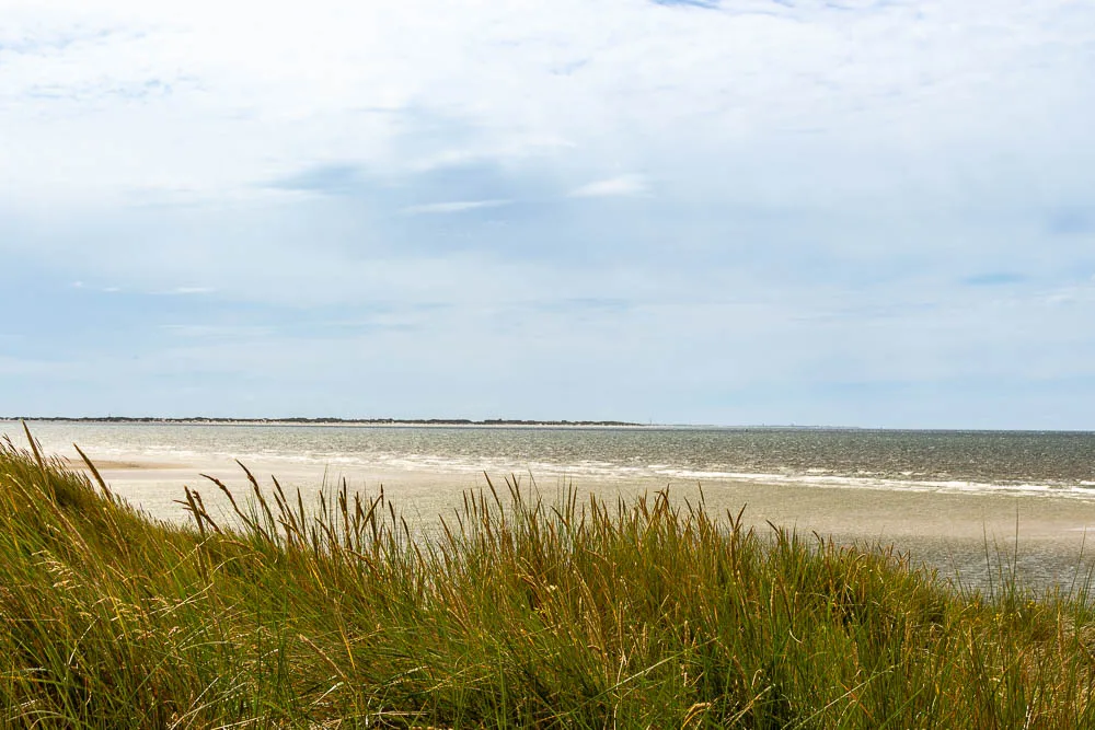 Blick von den Dünen über das Wattenmeer vor der Insel Langeoog.