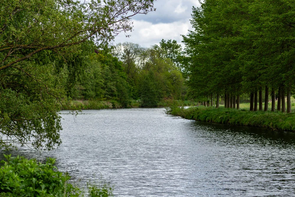Grüne Ufervegetation an der Ruhr im Frühling in Fröndenberg