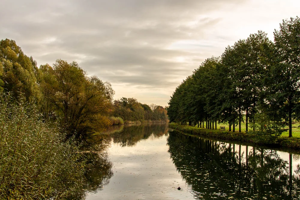 Ruhige Ruhr mit Baumreihe und Spiegelung an einem herbstlichen Tag