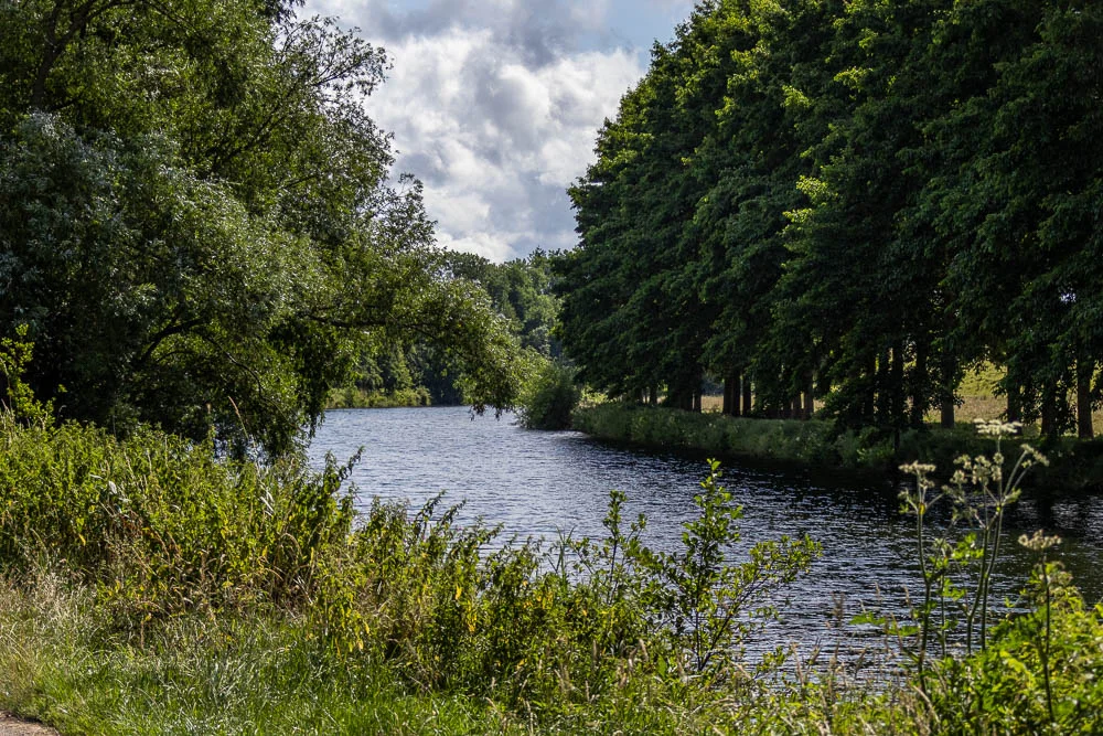 ruhr-froendenberg-sommer-dichtes-gruen-ufer