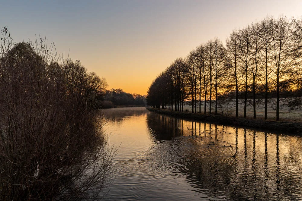 Sonnenaufgang an der Ruhr mit kahlen Bäumen und Spiegelung im Wasser