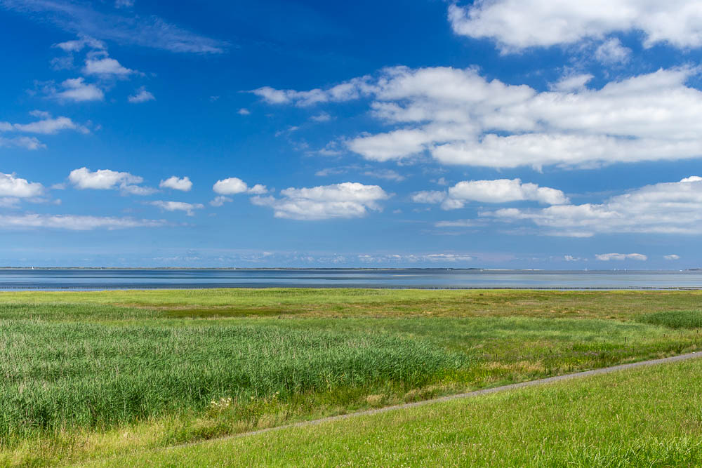Salzwiesen an der Nordseeküste bei Bensersiel